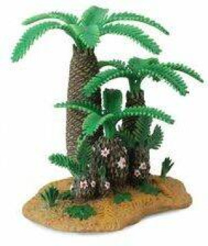 Collecta. Drzewo Monanthesia & Cycadeoidea