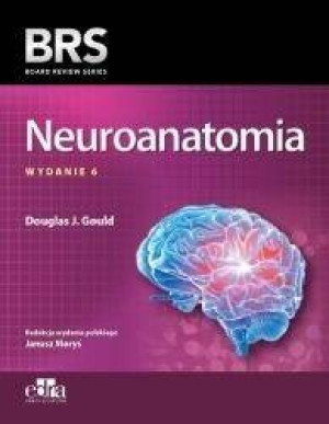 Neuroanatomia