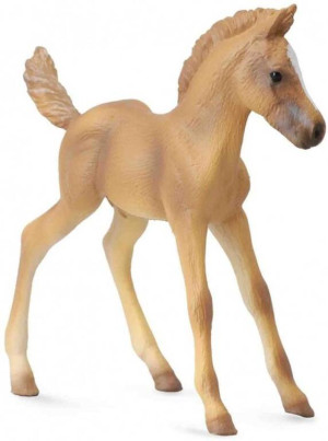 Źrebię Halfinger M