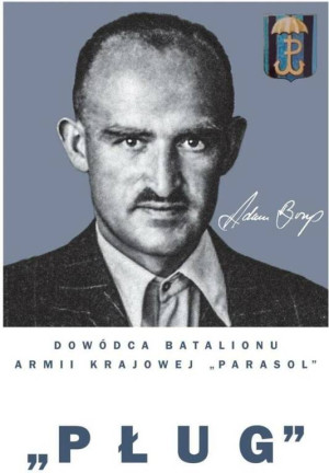Pług