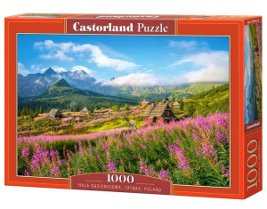 Puzzle 1000. Hala Gąsienicowa Tatry Polska. 104512-2