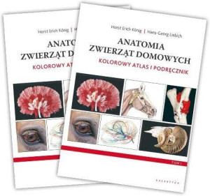 Anatomia zwierząt domowych. Kolorowy atlas i podręcznik