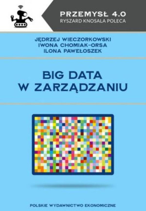 Big data w zarządzaniu