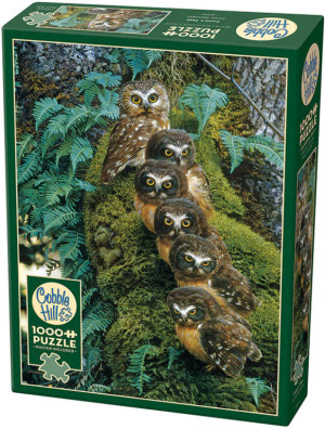 Puzzle 1000 Sowia rodzina G3