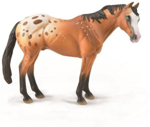 Koń Appaloosa wałach jasnobrązowy