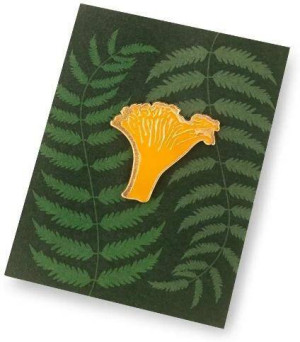Pin grzyb kurka
