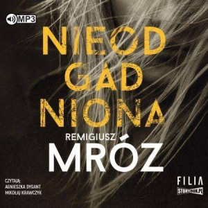 Nieodgadniona. Damian Werner. Tom 2. Audiobook