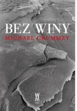 Bez winy