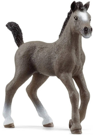 Źrebak rasy Cheval De Selle Francais