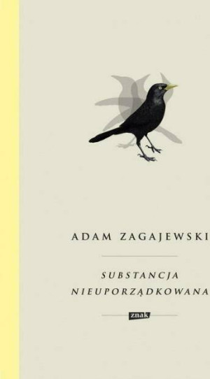 Substancja nieuporządkowana