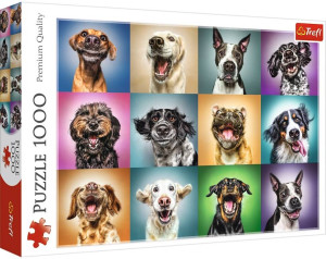 Puzzle 1000. Zabawne psie portrety 10462