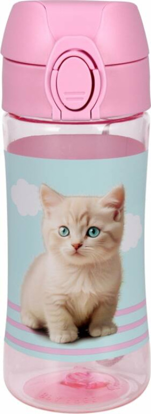 BIDON 450ML KITTY STK PB 1/24