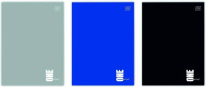 Zeszyt A4/32K linia UV One Color (10szt)