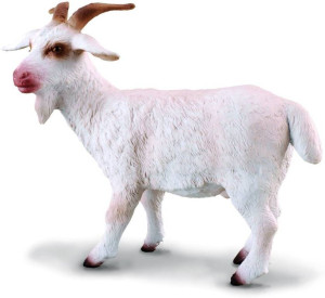 Kozioł
