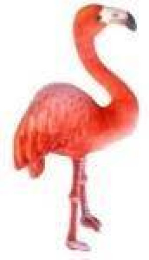 Flaming 55cm