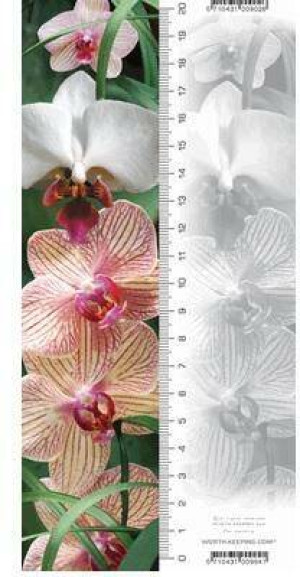 Zakładka 3D. Orchidea