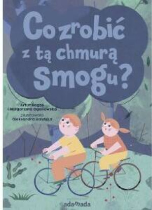 Co zrobić z tą chmurą smogu?