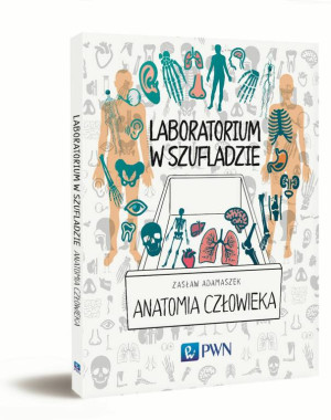 Laboratorium w szufladzie. Anatomia człowieka