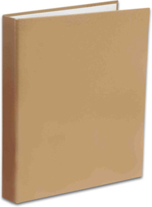 Segregator A4/2R Penmate złoty