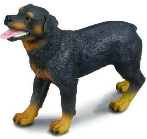 Collecta. Figurka. Pies rasy rottweiler L