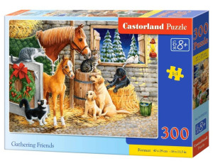 Puzzle 300. Gathering Friends 030255