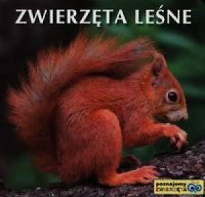 Zwierzęta leśne. Poznajemy zwierzęta