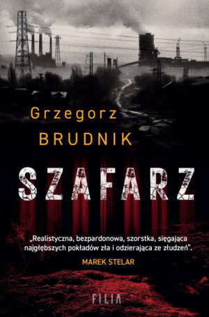 Komisarz Rafał Lichy T.1 Szafarz