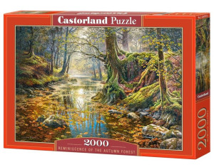 Puzzle 2000 Wspomnienie z jesiennego lasu CASTORLAND