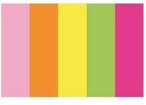 Zakładki indeksujące 15x50mm papierowe neon. D.RECT