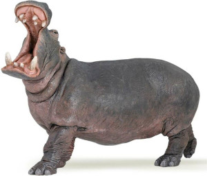 Hipopotam