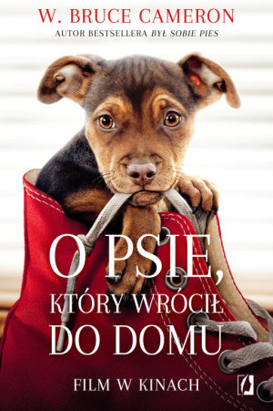 O psie, który wrócił do domu