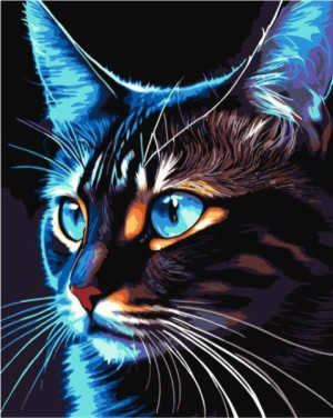 Malowanie po numerach - Cosmo-cat 40x50cm