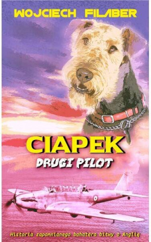 Ciapek drugi pilot