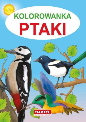 Ptaki. Kolorowanka