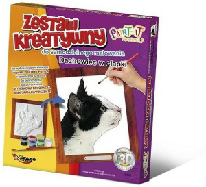 Zestaw Kreatywny do malowania - Dachowiec w ciapki