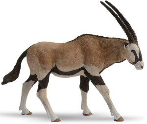 Antylopa Oryx