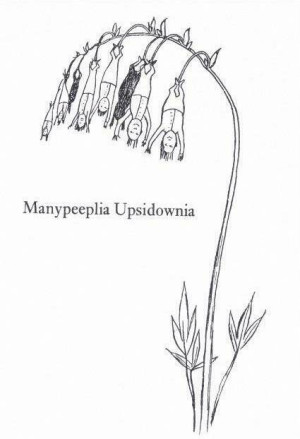 Karnet B6 z kopertą Manypeeplia Upsidownia