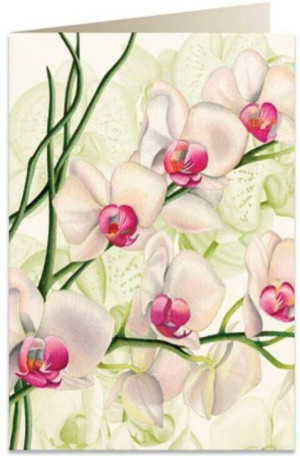 Karnet B6 + koperta: Biała orchidea