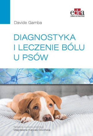 Diagnostyka i leczenia bólu u psów