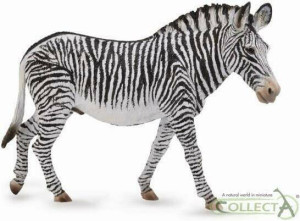 Zebra Grevys XL