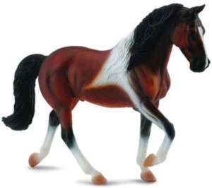 Klacz rasy Stallion Bay Pinto