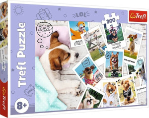 Puzzle 300. Zdjęcia z wakacji. 23003