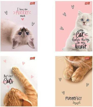 Zeszyt A5/60K kratka Purrfect Moments