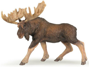 Łoś