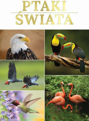 Ptaki świata