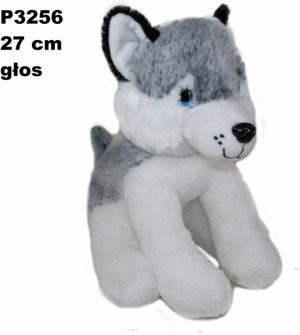 Pies husky z głosem 24cm