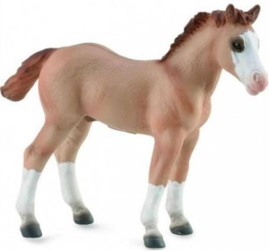 Źrebię Red Dun