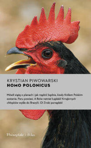 Przyjaciółka. Miasteczko Anielin. Tom 1