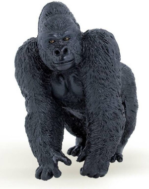 Goryl