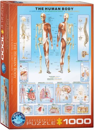 Puzzle 1000 The Human Body